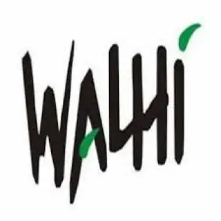Selain Memuji, Walhi Kritik Fatwa MUI 'Orang Kaya Pemilik Konsesi Sawit dan Tambang Tidak Disinggung'