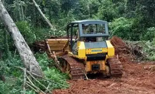 Desa di Bengkulu Bangun Akses Jalan Menuju Perkebunan Sawit Masyarakat