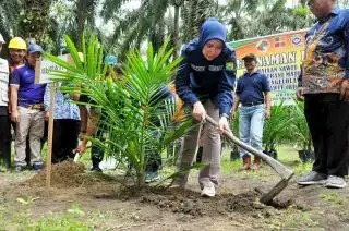 Korporasi dan Petani Sawit Disurati Bupati Inhu, Diminta Segera Ikut Sertifikasi ISPO