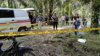Gara-gara Brondolan, Pria di Rohul Tewas Digorok Temannya