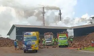 Harga CPO Naik, Harga TBS Kelapa Sawit di Mukomuko Malah Turun