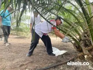 Keren! KUD Tunas Muda di Siak akan Bangun Pabrik Minyak Goreng