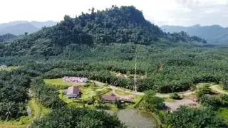 Meski Sudah Kantongi ISPO, Perusahaan Sawit di Sulbar Tetap Dimonitor