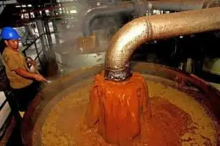 Yang Lain Naik, Cuma Harga Penjualan CPO Perusahaan ini yang Turun di Riau