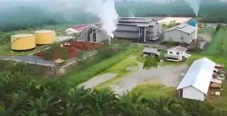 Empat Perusahaan Kelapa Sawit di Bengkulu Terima Raport Merah