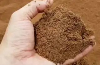 Bungkil Sawit Harus Untuk Mensejahterakan Peternak Lokal