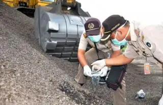 Harga Cangkang Sawit Swadaya di Riau Lebih Mahal Dibanding Plasma
