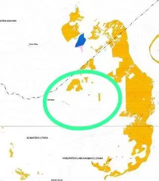 Masuk Peta PPTPKH, Kebun Sawit Rakyat di Sukarame Bakal Dikeluarkan dari Kawasan Hutan