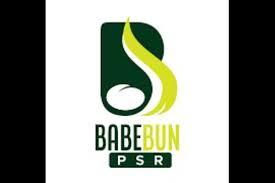 Petugas Pendamping PSR Ikuti ToT Gunakan Aplikasi Babebun