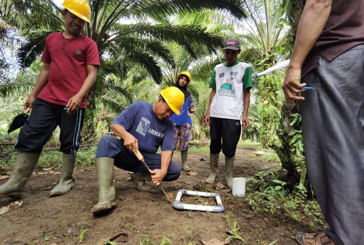 Tingkatkan Hasil Produksi Lewat Regeneratif Agriculture