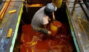 Beginilah Harga CPO Hasil Tender PT KPBN Periode 12 Juli 2024
