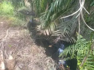 Dua Sungai di Ujungbatu Sering Tercemar tapi Tak Pernah Ada Sanksi, Ada Apa?