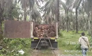 FMBP Arogan, Perintahkan Warga Jarah TBS Kelapa Sawit PT Agricinal