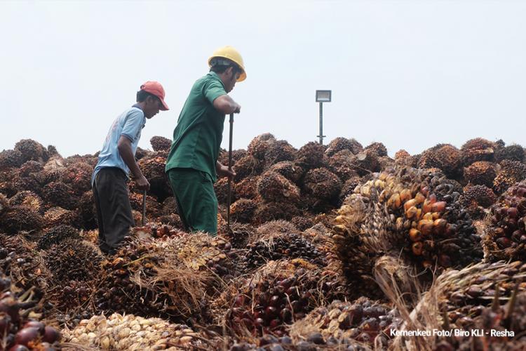 Permentan Baru Dorong Kemitraan Petani Swadaya dan PKS untuk Stabilitas Pasar Sawit