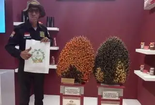 Petani Geram, Harga TBS Sawit di Sultra Paling Buncit Kedua Secara Nasional