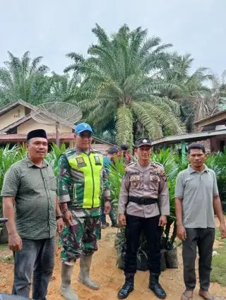 Pemdes di Aceh Singkil Bagi Bibit Sawit Gratis ke 100 KK
