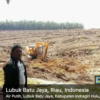 Petani Sawit Keberatan BPDPKS Diganti Jadi BPDP, Usul Bentuk BOSI