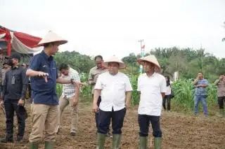 Program Astacita Prabowo Subianto: Kolaborasi Polda Jambi dan PTPN IV Tanam Jagung Serentak untuk Swasembada Pangan