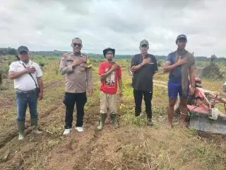 Lahan Sawit PT GM Mulai Digemburkan, Siap untuk Tumpang Sari Jagung