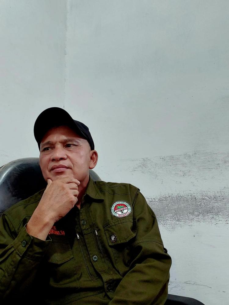 Pemerintah Lakukan Efisiensi Anggaran, Petani Sawit Terpukul