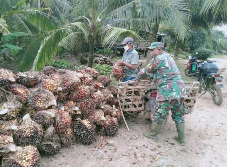 Selesaikan Masalah Sawit di Kawasan Hutan, Koalisi Masyarakat Sipil Tolak Keterlibatan Militer