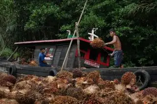 Meroket, Harga TBS Sawit di Sumsel Dibanderol Rp 3.612,61/Kg