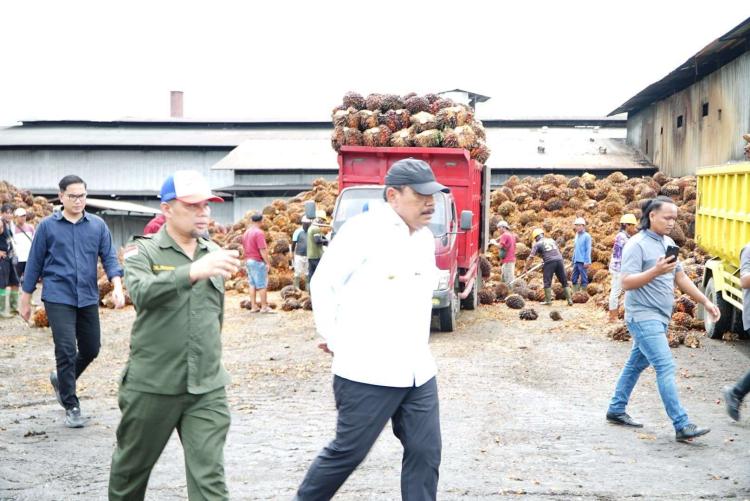 Cueki Harga TBS Ketetapan Pemerintah, Wagub Bengkulu Ancam Tutup Pabrik Sawit