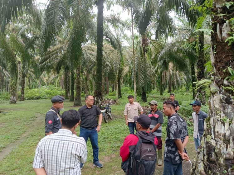 SPKS Dorong Pebisnis Jerman Serap Minyak Sawit Berkelanjutan Indonesia