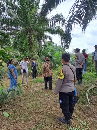 BPN Dilibatkan Selesaikan Konflik Lahan Dua Petani Sawit di Gunung Perak