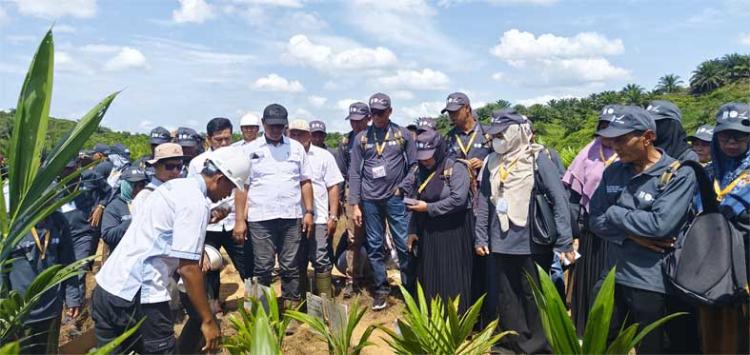 Petani Sawit Aceh Dilatih Teknik Pemilihan Bibit Unggul Hingga Pengendalian OPT