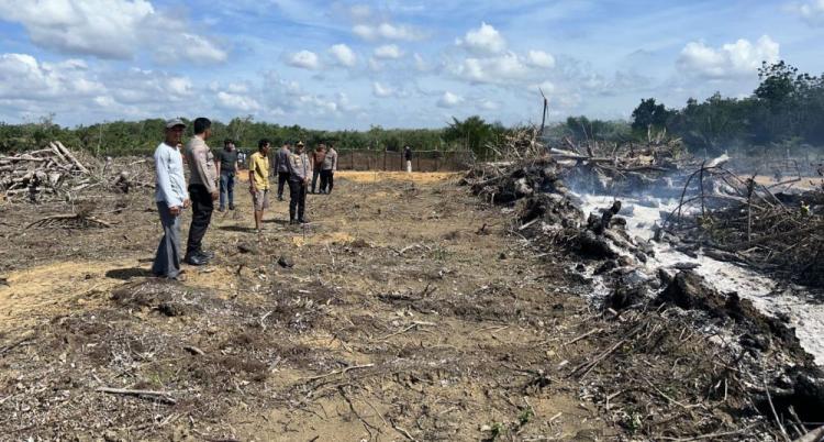 Bakar Lahan Ganti Karet Jadi Sawit di Kuansing, Warga Pekanbaru Ditangkap