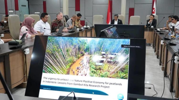 Peneliti Bilang Sawit Cocok di Lahan Gambut, Cuma...