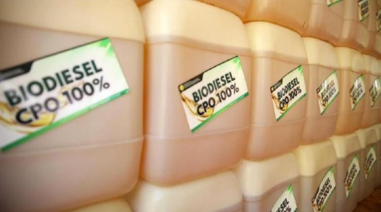 Putusan WTO Jadi Angin Segar Bagi Industri Sawit dan Biodiesel Nasional