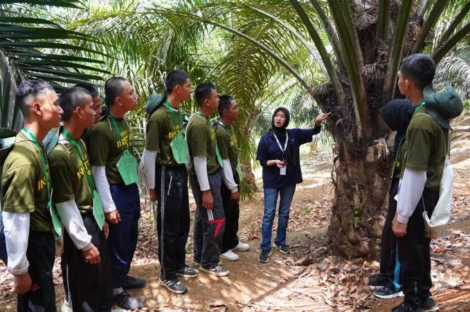 Enggak Cuma di Kampus, Mahasiswa Baru INSTIPER Juga Langsung Belajar di Kebun Sawit