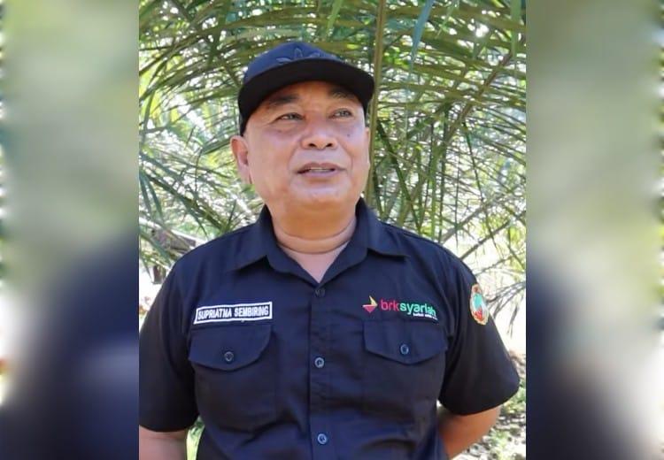Petani Sawit di Kampar Mulai Rasakan Manfaat PSR Gratis, Kebun Tua Kini Produktif