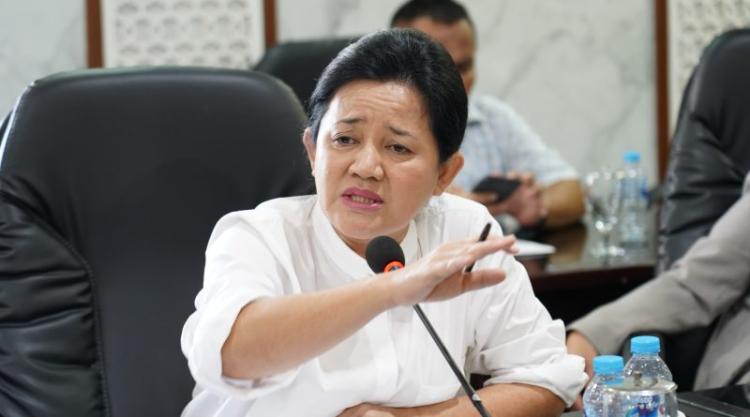 Sawit Liar Babat Habis DAS Bangka Selatan, Anggota DPRD Ini Murka!