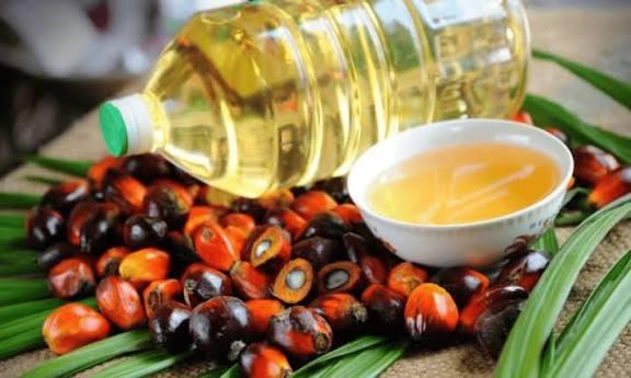 Harga CPO Naik, AALI Mantap Replanting Sawit Besar-Besaran di 2025