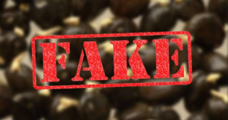 PPKS Peringatkan: Kecambah Sawit Asli Tak Pernah Dijual Online!