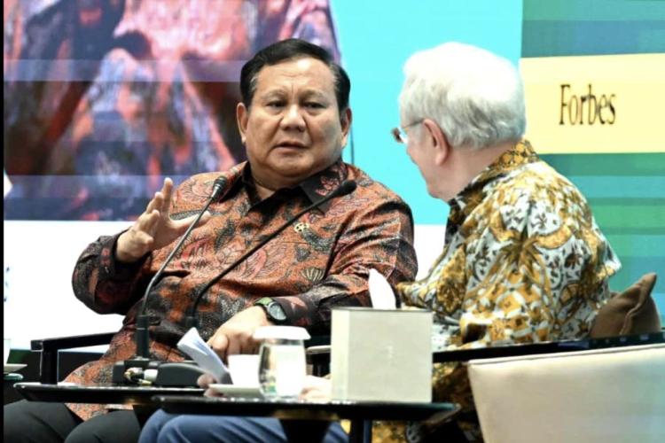 Prabowo Klaim Pulihkan Aset Negara Digasak Sawit Ilegal, Benarkah?