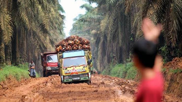 Kebun Sawit Luas Tapi Jalan Rusak Parah, Warga Rio Pakava Masih Merana