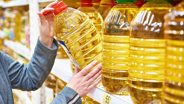 RSPO: Tanpa Pembeli Peduli, Petani Sawit Sulit Maju
