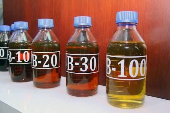 Program B50 Tersandung Selisih Harga CPO–Solar, Kok Bisa?