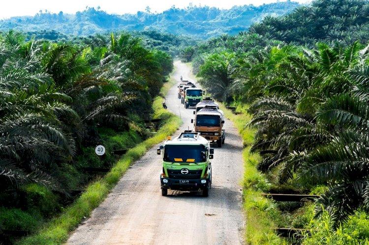 Parah! Sepertiga Perusahaan Sawit di Kalteng Ogah Bangun Plasma