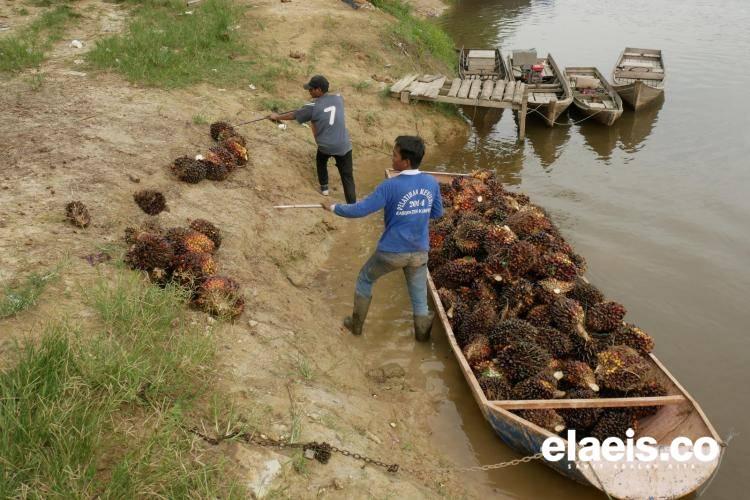 Pemerintah Kudu Tegas Terhadap PKS Tidak Taat Aturan di Aceh Timur