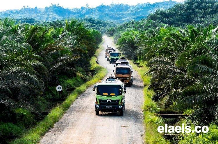 Soroti Kekacauan TNTN, Forum Tani Sawit Sebut Pansus Agraria 'Macet Total'