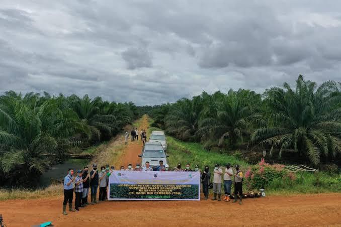 Pantau Gambut: Ini Daftar 20 Korporasi yang 'Mengobrak-abrik' Gambut hingga Banjir Meluas