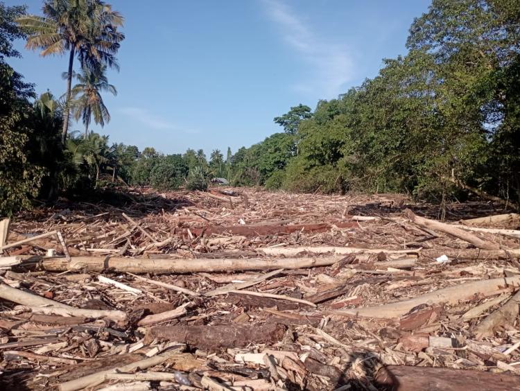 Ekonomi Lumpuh, Petani Minta BPDP Alokasikan Dana Untuk Korban Bencana Sumatera
