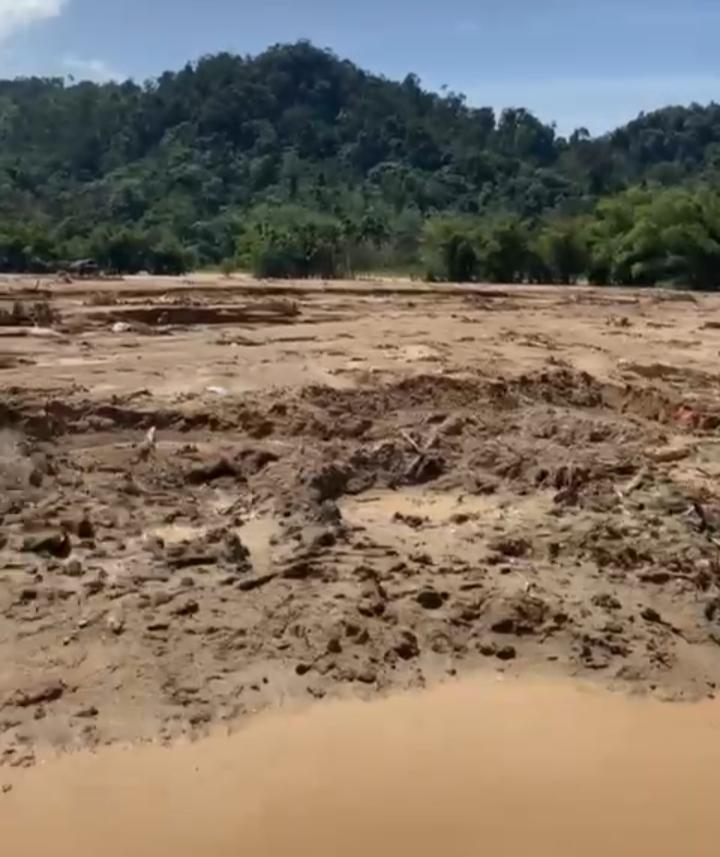Karpet Merah Perundang-undang, Riau Jadi Penyumbang Deforestasi Terbesar Dua Dekade Terakhir