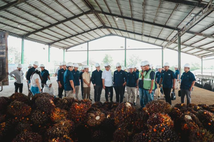Danantara: Transformasi PalmCo Perkuat Kemandirian Pangan dan Energi Nasional