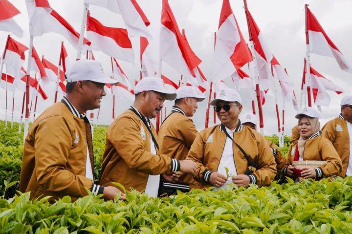 Menatap Abad Kedua Teh Kayu Aro